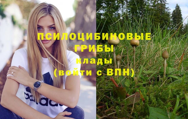 кокаин колумбия Вяземский