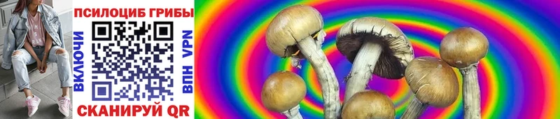 Купить закладки  Верхняя Салда  Псилоцибиновые грибы Psilocybe 